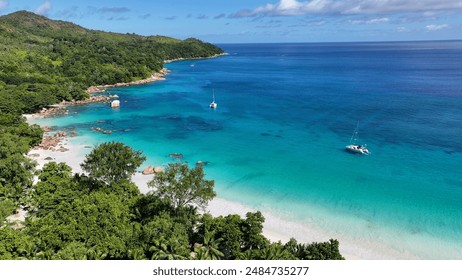 隔壁邻居波多野结衣在线播放