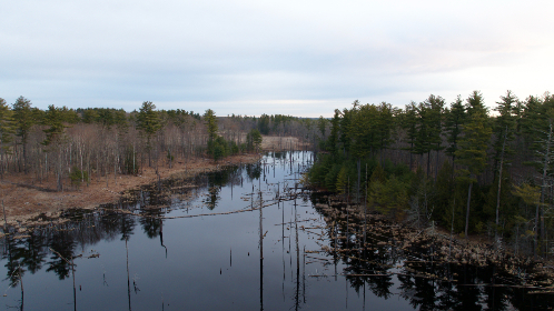 亚洲VA中文在线播放免费