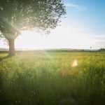 陛下万岁(H) 全文阅读 sr26u2li