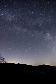 国产日本高清在线观看