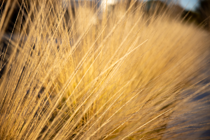 粉嫩虎白女在线观看中国女