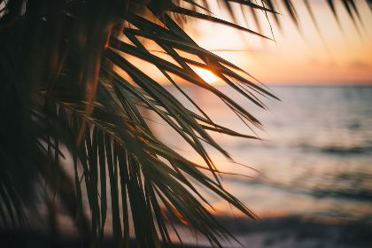 吾爱破解网易云：探索音乐分享与破解的无限可能