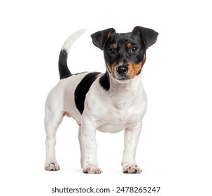 叫我姐姐：探索姐妹情深的温暖故事