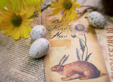 噼里啪啦国语电影大全：畅享经典与新作的精彩影视盛宴