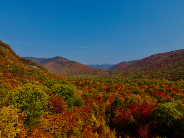 吾爱破解游戏盒子app:畅享无限游戏乐趣,轻松破解各种热门手游 吾爱破解游戏盒子app:畅享无限游戏乐趣,轻松破解各种热门手游