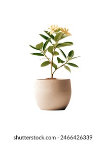 proumb站官网进入：探索最新功能与优惠活动的最佳途径