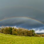 九妖汉漫漫画:探索妖怪与人类的奇幻冒险世界 pjo0h6h4y