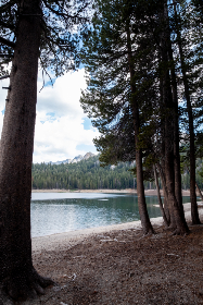 帝王计划怪兽遗产在线观看：探索漫画背后的精彩故事