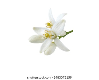 探索jabletv最新网站：畅享精彩视频内容的最佳选择