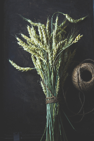 探索182tvr：揭示其背后的科技与创新