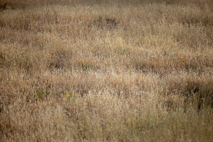 探索精彩漫画世界的导航网站推荐