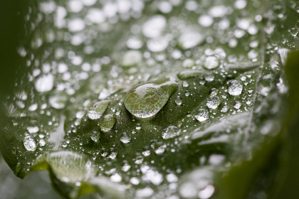 探索XiuRen秀人网_超模邦：时尚与美丽的完美结合